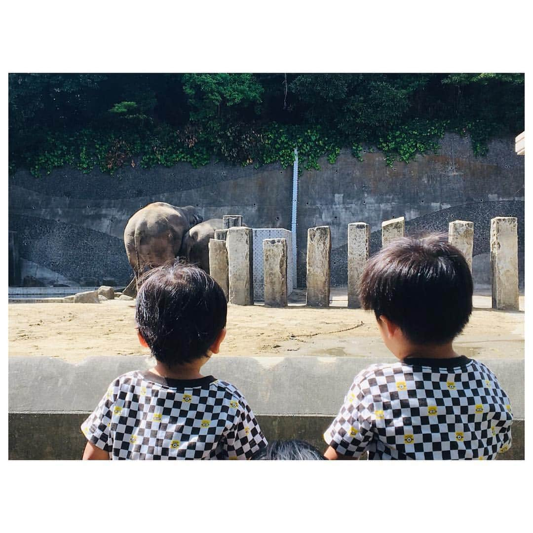 小森純さんのインスタグラム写真 - (小森純Instagram)「GW、今日が最後の休み❤️ ・ 朝からお弁当作って、家族で金沢自然公園に行ってきた〜☺️ ・ こどもの日だったから、 鯉のぼりも🎏あってすごかった❤️ ・ 公園で沢山遊んで、 動物園で、沢山動物みて、 遊び倒した❤️ ・ 夕方に戻り、 明日からの平日に向けて、 作り置きを沢山作りました◎ 詳しくはストーリーをみてください☺️ ・ 家族で過ごすお休みは、本当に幸せだった❤️ ・ 明日から元気に楽しく頑張ろうね☺️！！ ・ #GW#金沢自然公園#金沢自然公園の動物園#金沢自然公園ローラーすべり台#楽しすぎた#年子兄弟#年子育児#4歳児#3歳児#愛息子#明日から仕事スタート#楽しみ」5月5日 19時16分 - jun.komori1122