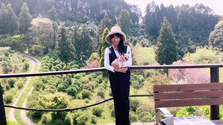 山田佳子のインスタグラム