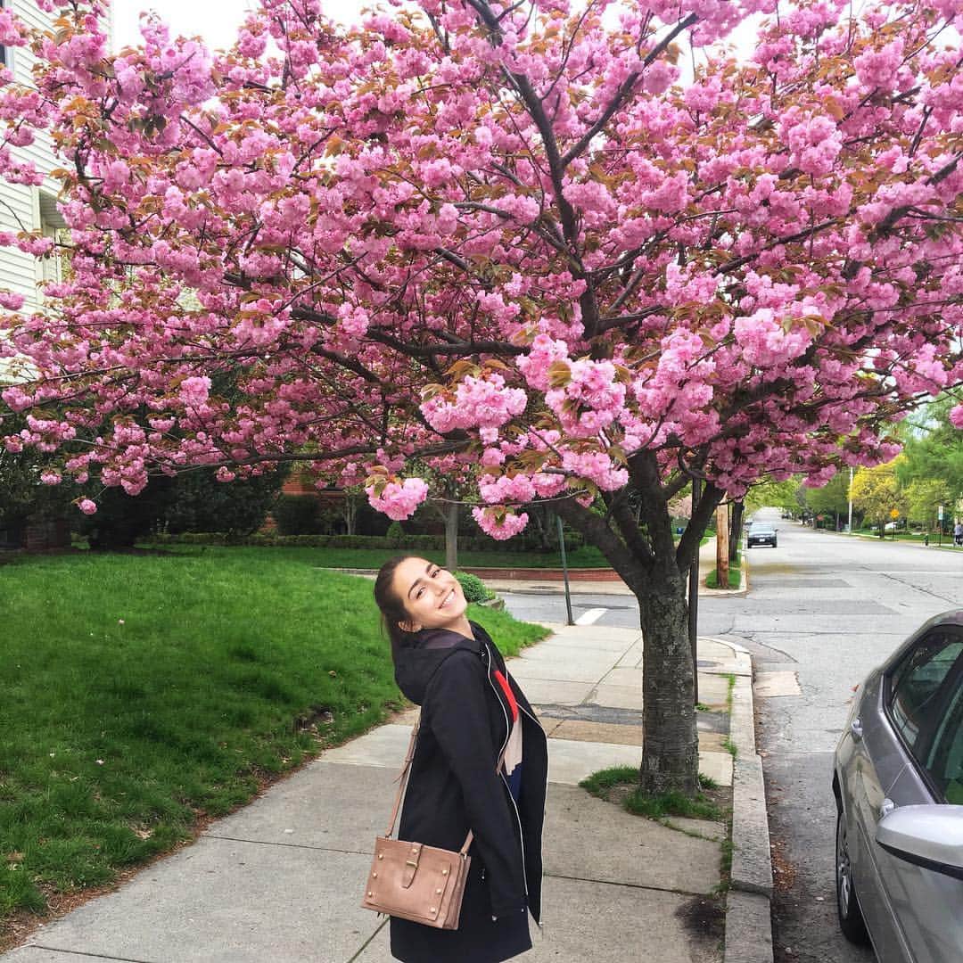 マリッサ・キャステリのインスタグラム：「Hi Spring! 🌸」