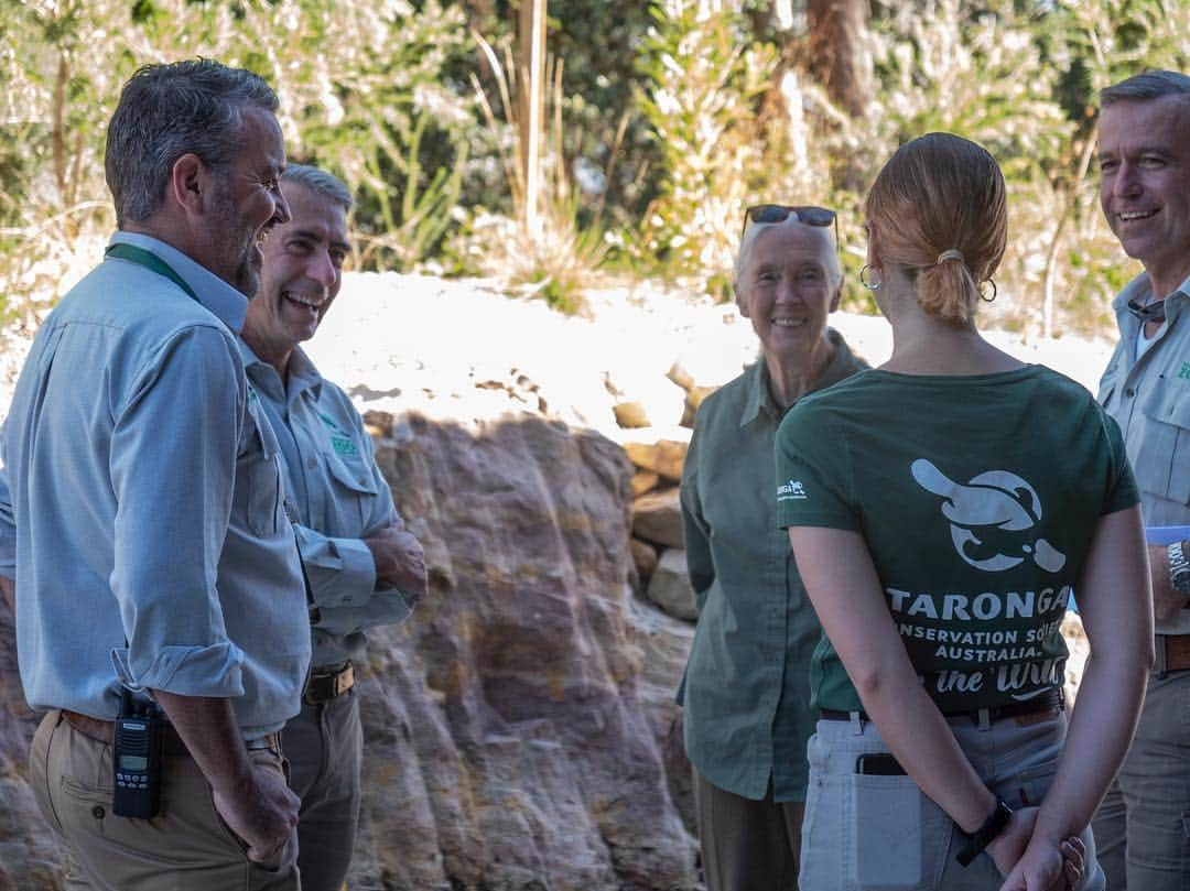 タロンガ動物園さんのインスタグラム写真 - (タロンガ動物園Instagram)「This weekend @tarongazoo and @janegoodallau are proud to announce that the Taronga Institute of Science and Learning’s Education Precinct is dedicated to Dr #JaneGoodall DBE. Dr Goodall attended Taronga Zoo Sydney yesterday to meet with Taronga’s Youth at the Zoo and the Jane Goodall Institute of Australia’s Roots and Shoots #ForTheWild. An interview with Dr Goodall during her time at Taronga this weekend is available at @sydneymorningherald - link in bio.」5月5日 10時42分 - tarongazoo