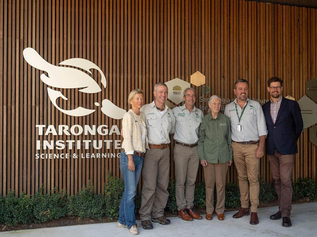 タロンガ動物園さんのインスタグラム写真 - (タロンガ動物園Instagram)「This weekend @tarongazoo and @janegoodallau are proud to announce that the Taronga Institute of Science and Learning’s Education Precinct is dedicated to Dr #JaneGoodall DBE. Dr Goodall attended Taronga Zoo Sydney yesterday to meet with Taronga’s Youth at the Zoo and the Jane Goodall Institute of Australia’s Roots and Shoots #ForTheWild. An interview with Dr Goodall during her time at Taronga this weekend is available at @sydneymorningherald - link in bio.」5月5日 10時42分 - tarongazoo