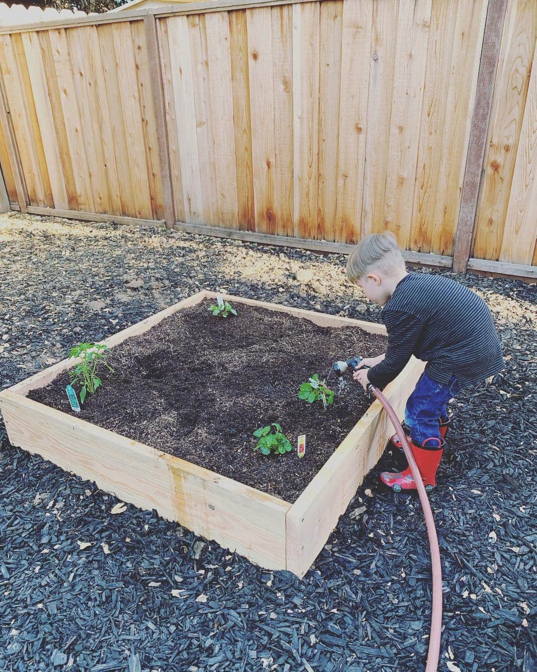 OLIVIAのインスタグラム：「Gardening day!!! 🥰🌿💚🐌🐞🦋🌿🌱🍀🌹🌸🌻🌷」