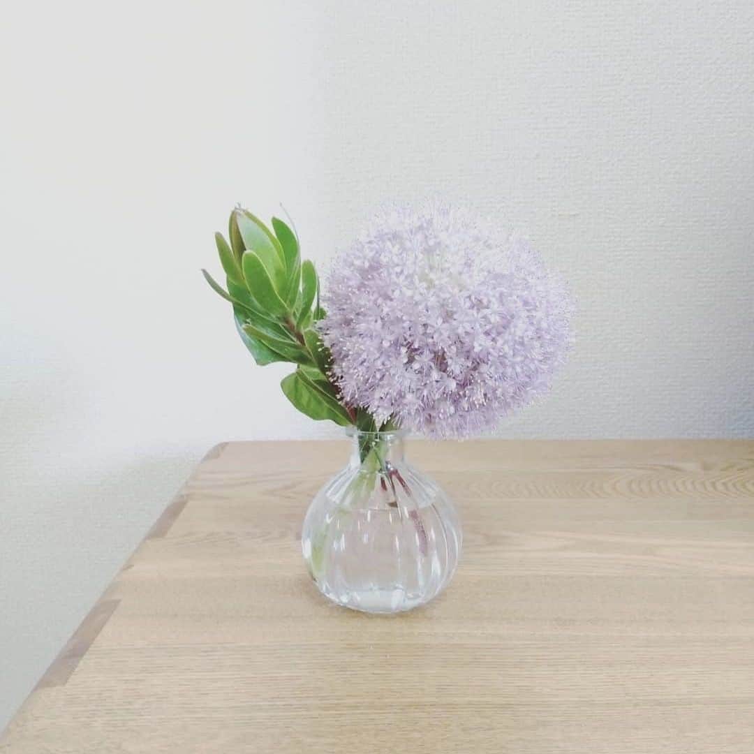 Bloomee LIFEさんのインスタグラム写真 - (Bloomee LIFEInstagram)「・⠀ 薄紫色のギガンジュームと緑のリューカデンドロン、利休草が初夏を感じさせてくれます🌿✨⠀ この時期は、お花以上に葉っぱが好きな私にとって、とても嬉しい組み合わせ😊💕⠀ ・⠀ Special Thanks Photo by⠀⠀ @11ch17co⠀ ・⠀ 現在母の日に向けて、🇬🇧Cath Kidston🇬🇧と母の日キャンペーンを開催中💐⠀ 今登録するとCath Kidstonデザインの期間限定パッケージでBloomee LIFEのお花が届くかも？！⠀ ・⠀ また、豪華プレゼントが当たる投稿キャンペーンも実施中🎉⠀ --- ありがとうの気持ちを、お花のお便りで。 ---⠀ Bloomee LIFEではお母さんへのありがとうの気持ちを「お花のお便り＝#ママラブレター 」でお届けします💌⠀ 素敵な#ママラブレター をご投稿してくださった方の中から抽選で⠀ 【合計100本のカーネーションブーケ🌹】をペア5組10名様にプレゼント🎁⠀ ・⠀ 詳しくは下記をチェック👌⠀ ↓↓↓⠀ ・⠀ 💓母の日を想う全ての人に感動を💓⠀ 5月12日は母の日。⠀ Bloomee LIFEは、あなたの大切なお母さんへの想いを「お花のお便り」でお運びします💐⠀ ・⠀ ■プレゼント：投稿キャンペーンに参加した方の中から抽選で、ペア5組10名様に【合計100本のカーネーションブーケ🌹】をプレゼント！⠀ ペアで貰えるからお母さんと2人でお花を楽しむことができます☺️⠀ ■参加方法：⠀ ①@bloomeelife をフォロー⠀ ②赤いカーネーションの画像 または Cath Kidston母の日限定ボックスの画像を用意⠀ ③#ママラブレター #bloomeelife を付けてテーマに沿ったエピソードを投稿⠀ ■投稿テーマ：投稿テーマは期間によって異なります👌⠀ 第1弾：《4/12-4/22》普段伝えられないお母さんへの感謝の気持ち⠀ 第2弾：《4/23-5/2》お母さんの好きなところ⠀ 第3弾：《5/3-12》お母さんと一緒にしたいこと⠀ ・⠀ 当選者の方にはbloomee LIFE 公式アカウントよりDMにてご連絡させていただきます💌⠀ ・⠀ #bloomeelife#ブルーミーライフ#キャスキッドソン#母の日#母の日プレゼント#カーネーション#母の日ギフト#花のある生活#花好きな人と繋がりたい#おうち時間#花部#花写真#花のあるくらし#花のある暮らし#花が好き#花を飾る#暮らし#暮らしを楽しむ#日々の暮らし#お花のある暮らし#初夏#緑#グリーン#緑のある暮らし#緑のある生活#グリーンのある暮らし#グリーンのある生活#フラワーベース」5月5日 11時00分 - bloomee