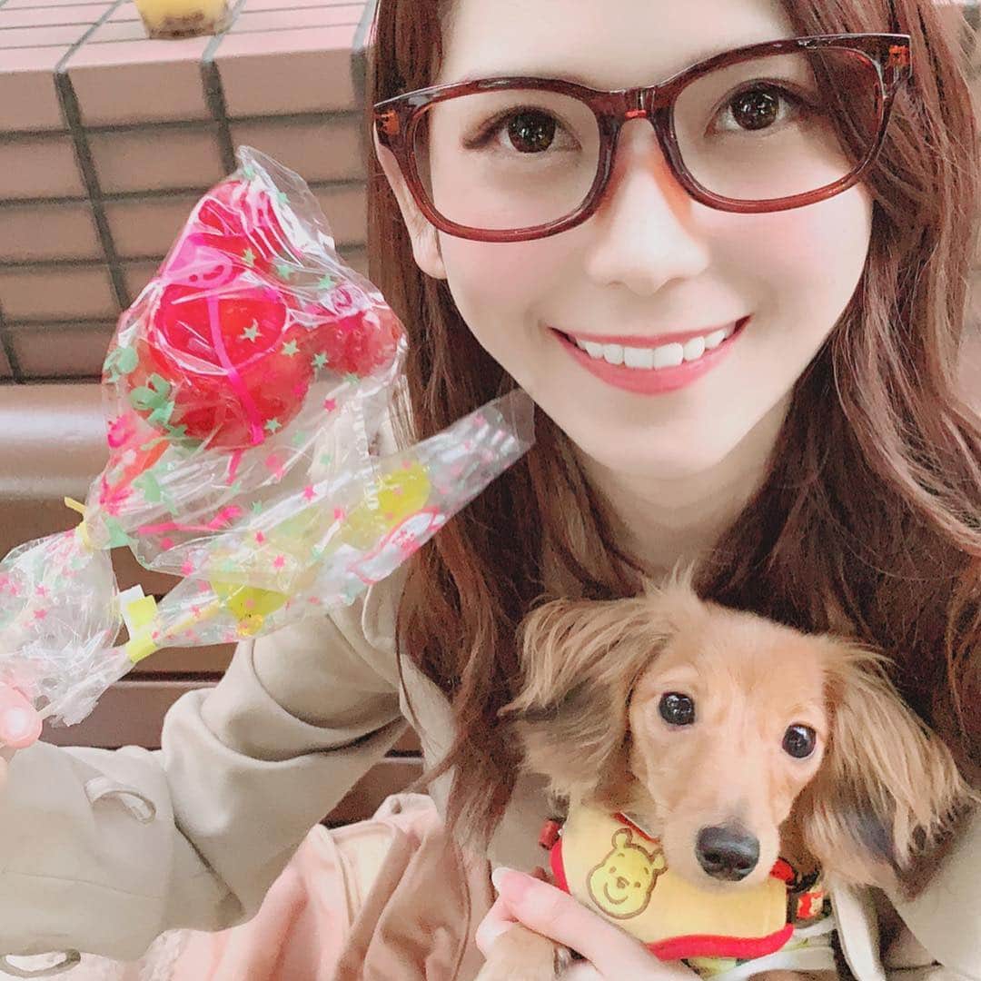 のインスタグラム：「白金台でお祭りあってる☺️💓 5月4.5日の2日間で、つばきも連れて行った🐶💓 清正公大祭🏮 ・ 住宅街だから出店少ないかと思ったら 鮎の塩焼き、わたがし、B級グルメも沢山🤤🍡 オリジナルの七味も作れる所あったので、作ってもらった😎 ・ それと！金魚すくい、射的など 子供から大人まで楽しめる空間(*^^*)今日まで🌸 ・ #お祭り #祭り #白金台 #清正公大祭 #犬 #カニンヘンダックス #いぬ #カニンヘンダックスフンド #いぬすたぐらむ #りんご飴 #ミッキー #プーさん #dog #食べ歩き」