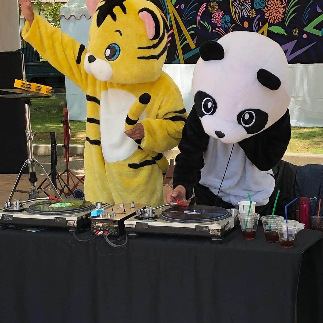山川のりをのインスタグラム：「DJパンダとDJタイガー」