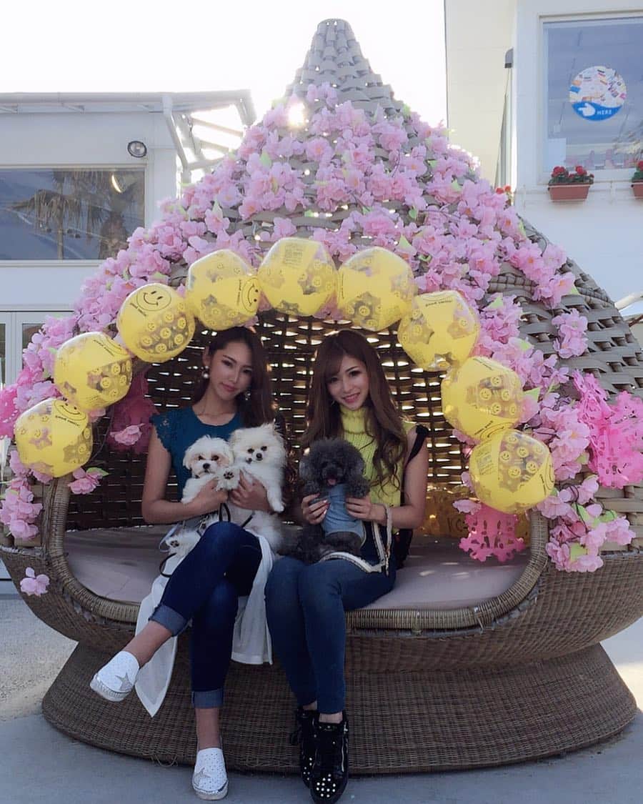 椿あいなのグルメインスタ