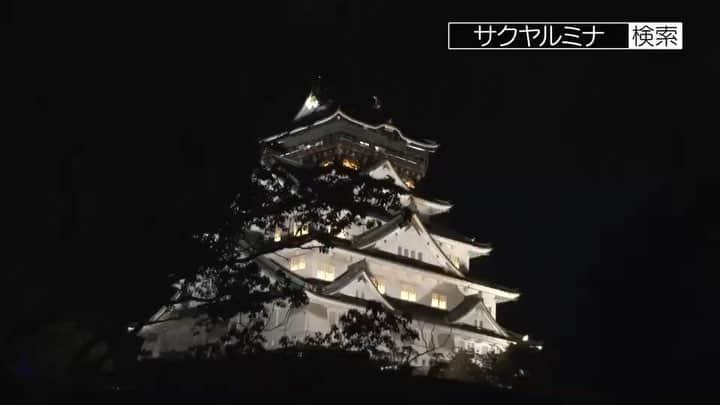 小寺真理のインスタグラム