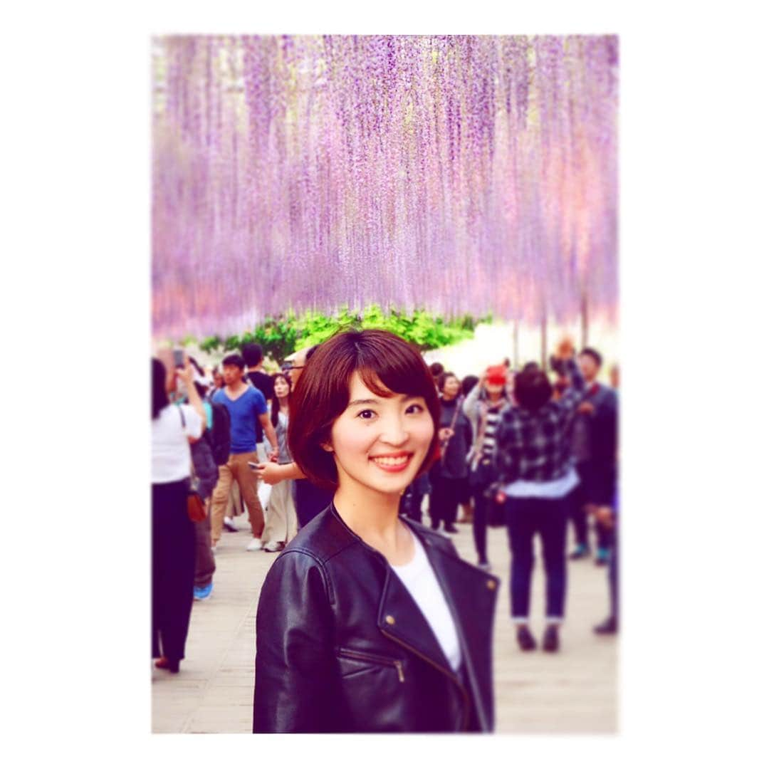 新田朝子さんのインスタグラム写真 - (新田朝子Instagram)「改めて綺麗だったなぁ💜 . #あしかがフラワーパーク #栃木 #足利 #藤の花 #藤の棚 #ゴールデンウィーク #プチ旅行 #ドライブ #旅行好きな人と繋がりたい #花好きな人と繋がりたい #tochigi #tochigigram #ashikagaflowerpark #flowergarden @ashikaga_flower_park」5月5日 12時22分 - asako.nitta