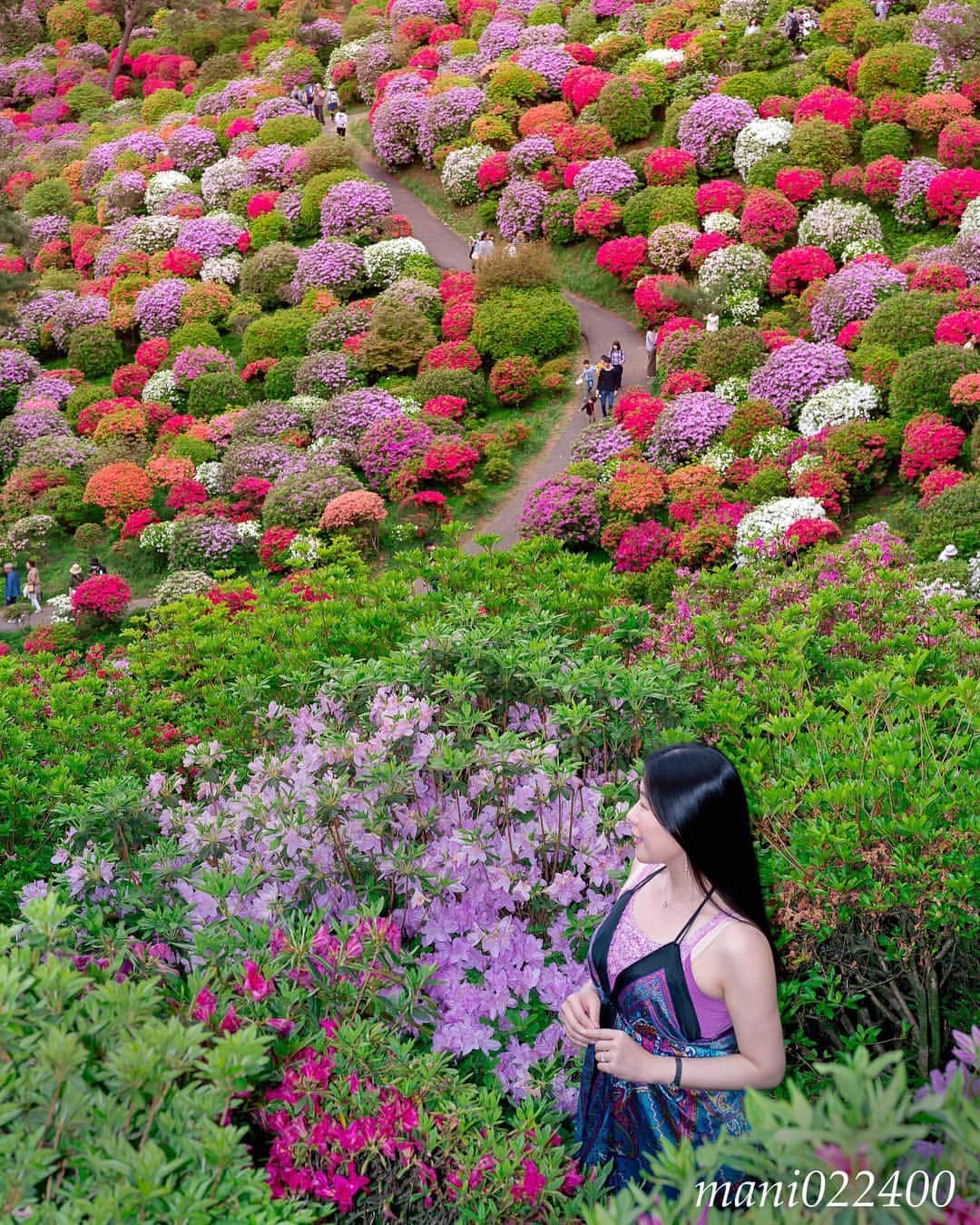 mani022400のグルメインスタ