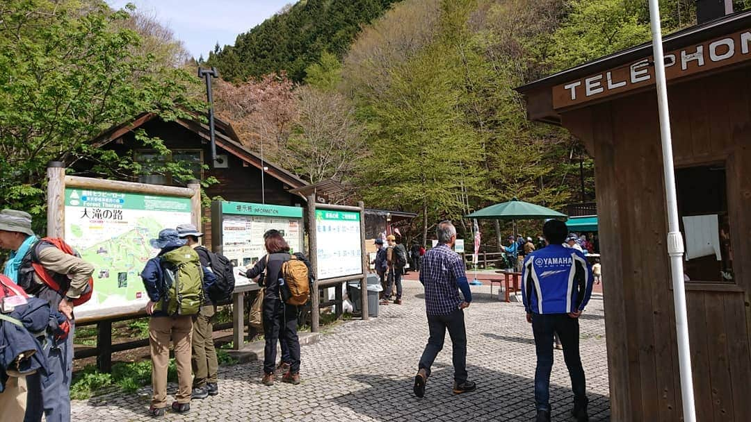 桜花さんのインスタグラム写真 - (桜花Instagram)「三頭山🗻🗻🗻🌼 緑がキラキラです＼(^^)／ #三頭山  #山歩き  #山登り #奥多摩」5月5日 12時41分 - mountainohka