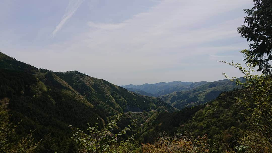 桜花さんのインスタグラム写真 - (桜花Instagram)「三頭山🗻🗻🗻🌼 緑がキラキラです＼(^^)／ #三頭山  #山歩き  #山登り #奥多摩」5月5日 12時41分 - mountainohka