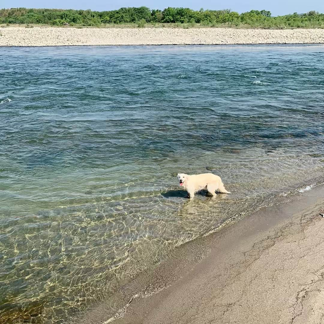 P太郎ママのインスタグラム