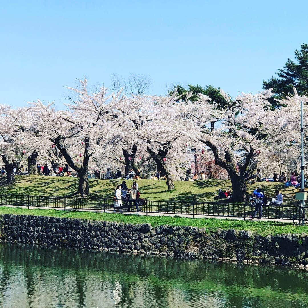 CLEAR de SIGNさんのインスタグラム写真 - (CLEAR de SIGNInstagram)「函館五稜郭公園桜満開。そろそろ日常に戻ります。 #函館 #桜 #五稜郭 #観光」5月5日 13時10分 - cleardesign