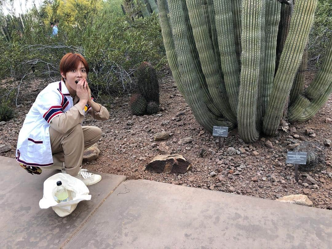 NCT 127さんのインスタグラム写真 - (NCT 127Instagram)「🌵🌵😮😮 #PHOENIX #NEOCITYinPHOENIX #YUTAinPHOENIX  #WE_ARE_SUPERHUMAN #NCT127_SUPERHUMAN #SUPERHUMAN #NEOCITYinUSA #NCT127inUSA #NCT127 #NCT」5月5日 13時10分 - nct127