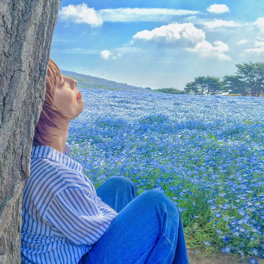 和希詩織さんのインスタグラム写真 - (和希詩織Instagram)「💠💠💠#nemophila #Flowercarpet #flowerstagram #hitachiseasidepark . . 2年前に行ったなぁ〜地元茨城の#ネモフィラの丘 💠 やっぱ癒しよね👏 . . 懐かしの#ショートヘア 💪 久々に切りたくなる✂️笑 少年だよね？笑 . . みんな今年行った？(´･∀･`) . . #ネモフィラ #ネモフィラ畑 #花のある暮らし #花のある風景 #日本の絶景 #日本の風景 #青空#天気いい #映えスポット #ゆるコーデ #ゴールデンウィーク#茨城#ひたち海浜公園 #ひたちなか海浜公園」5月5日 13時12分 - kazukishiori