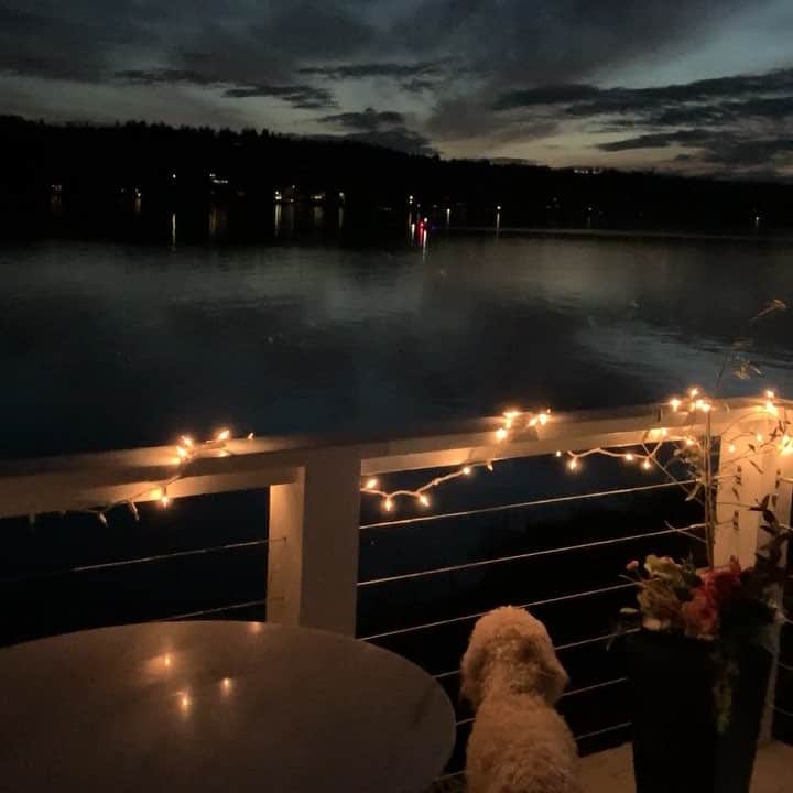 ジョシー・ビセットのインスタグラム：「What a beautiful night in the #pnw #blessed #love #bella #lake #water #happiness #missmyman」