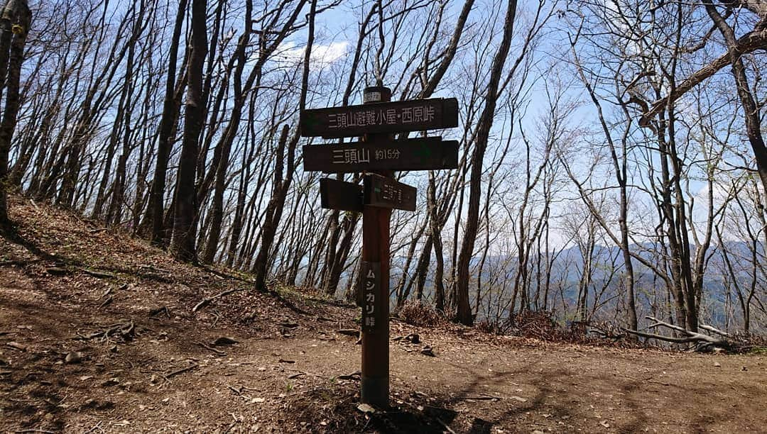 桜花さんのインスタグラム写真 - (桜花Instagram)「三頭山山頂🍀🗻✨ 晴れていて爽やかな空に出会えました🍀  さすがGW大変賑やかです＼(^^)／🌼✨ #山登り  #山女子  #山歩き #mountain  #mountains #mountaingirl #三頭山  #奥多摩」5月5日 13時27分 - mountainohka