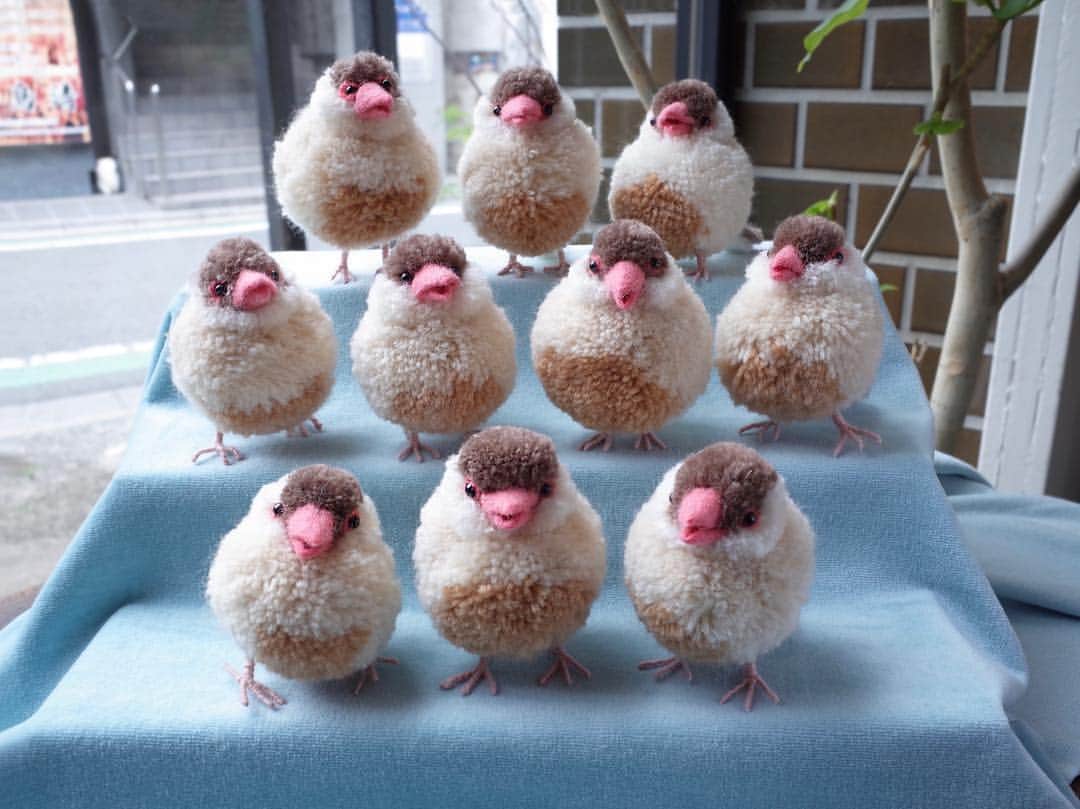 黒田翼（動物ぽんぽん）のグルメインスタ