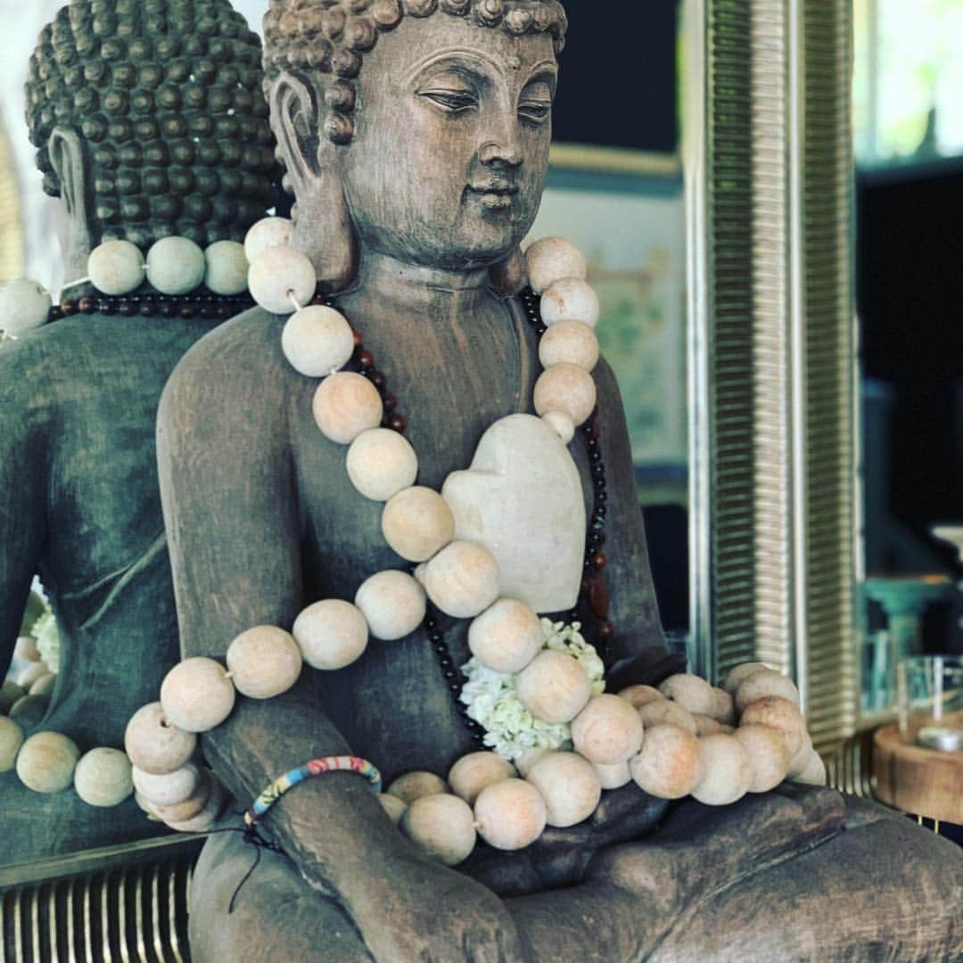 ジョシー・ビセットのインスタグラム：「“Like a lovely flower, bright and fragrant, are the fine and truthful words of one who means what they say.” #buddha #truthquotes #authentic #love #beauty #art」