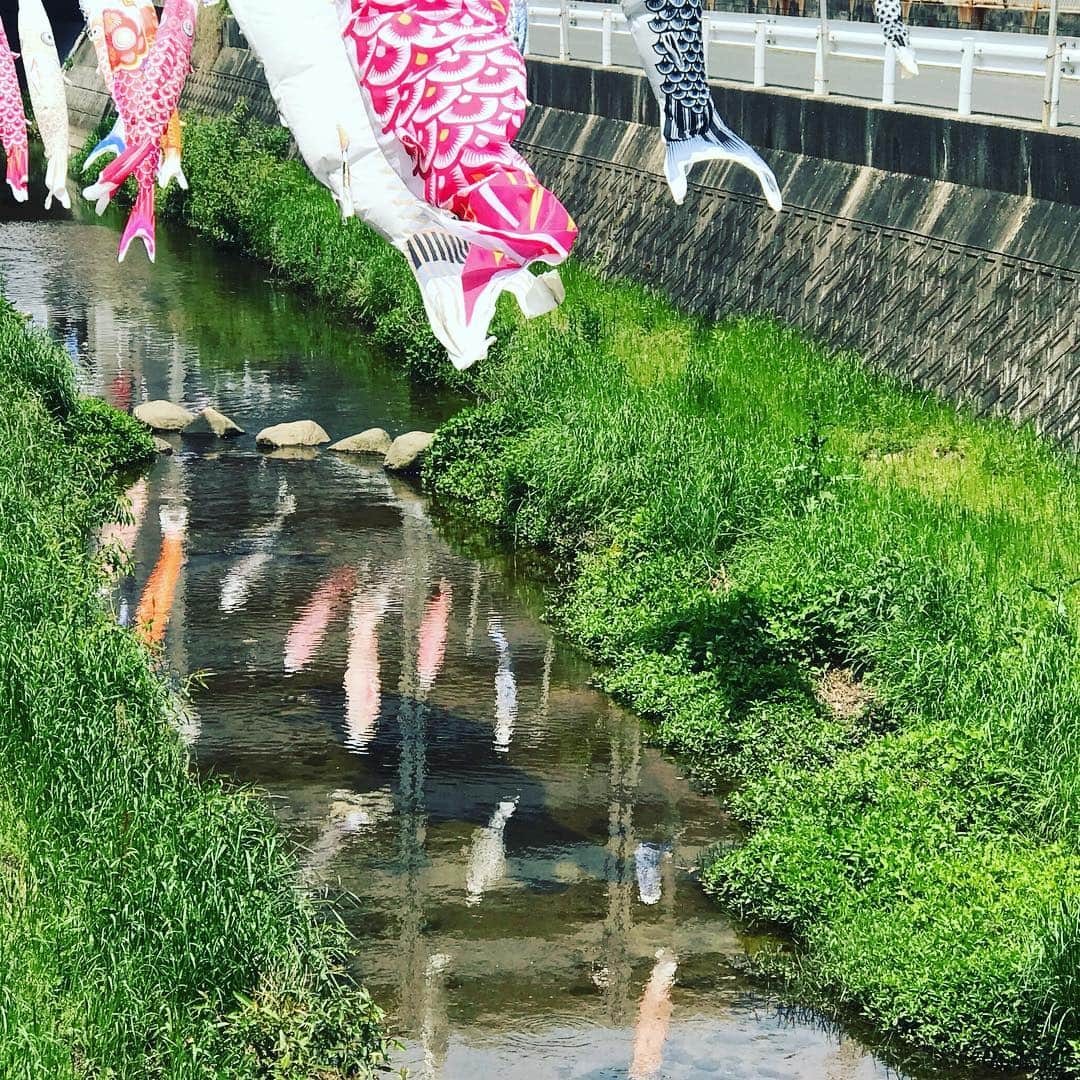 本多哲郎さんのインスタグラム写真 - (本多哲郎Instagram)5月5日 13時46分 - hane_tetsu