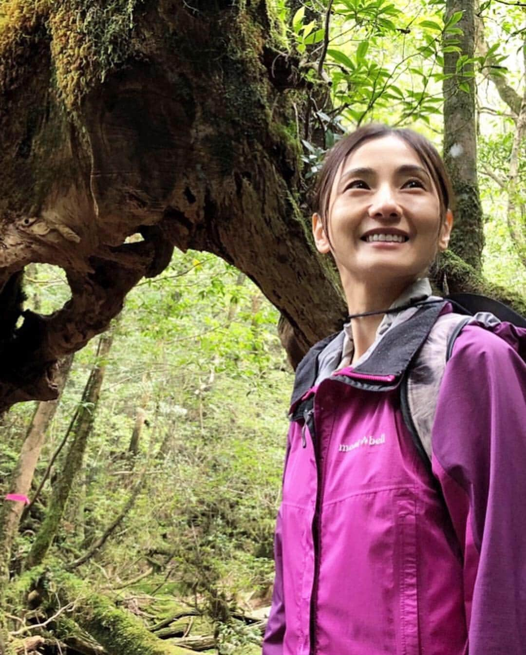 和泉佑三子さんのインスタグラム写真 - (和泉佑三子Instagram)「もののけ姫のモデルとなった場所へ🌳自然の力と森の命と、澄んだ空気、自然の声、綺麗な水。 全てが感動でした。 改めて、私たちは地球の一員で自然の中に住まわせて貰っているのだと実感した場所でした。 忘れてはいけない...🌿☺️🌳 #屋久島 #杉の巨木 #白谷雲水峡」5月5日 13時54分 - izumisae_official