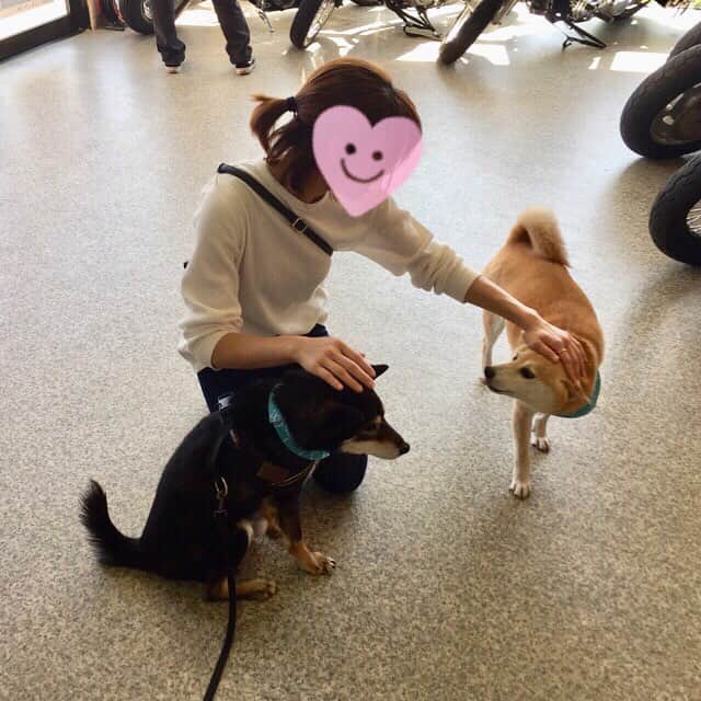 がんちゃんさんのインスタグラム写真 - (がんちゃんInstagram)「若くて可愛いお客さんに対する態度があからさまに違う件。 特に黒い方😑」5月5日 13時54分 - kota2ann