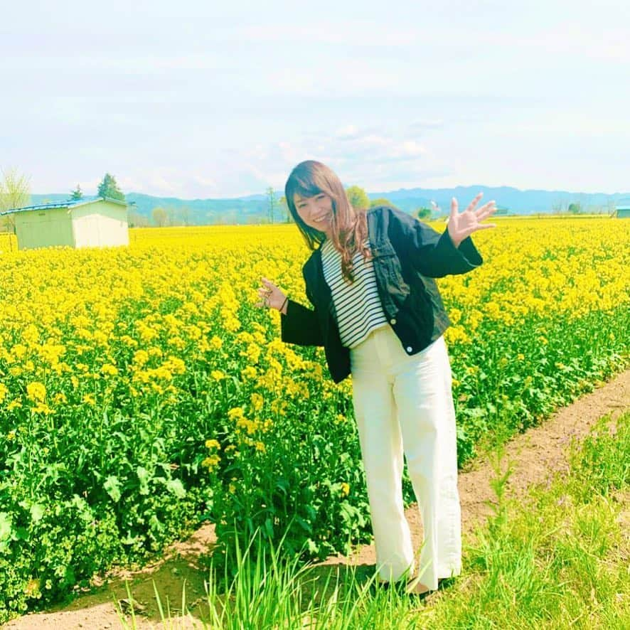 小林アナさんのインスタグラム写真 - (小林アナInstagram)「‪菜の花キレイ。‬ ‪#佐久市‬」5月5日 13時57分 - genkobiribiri