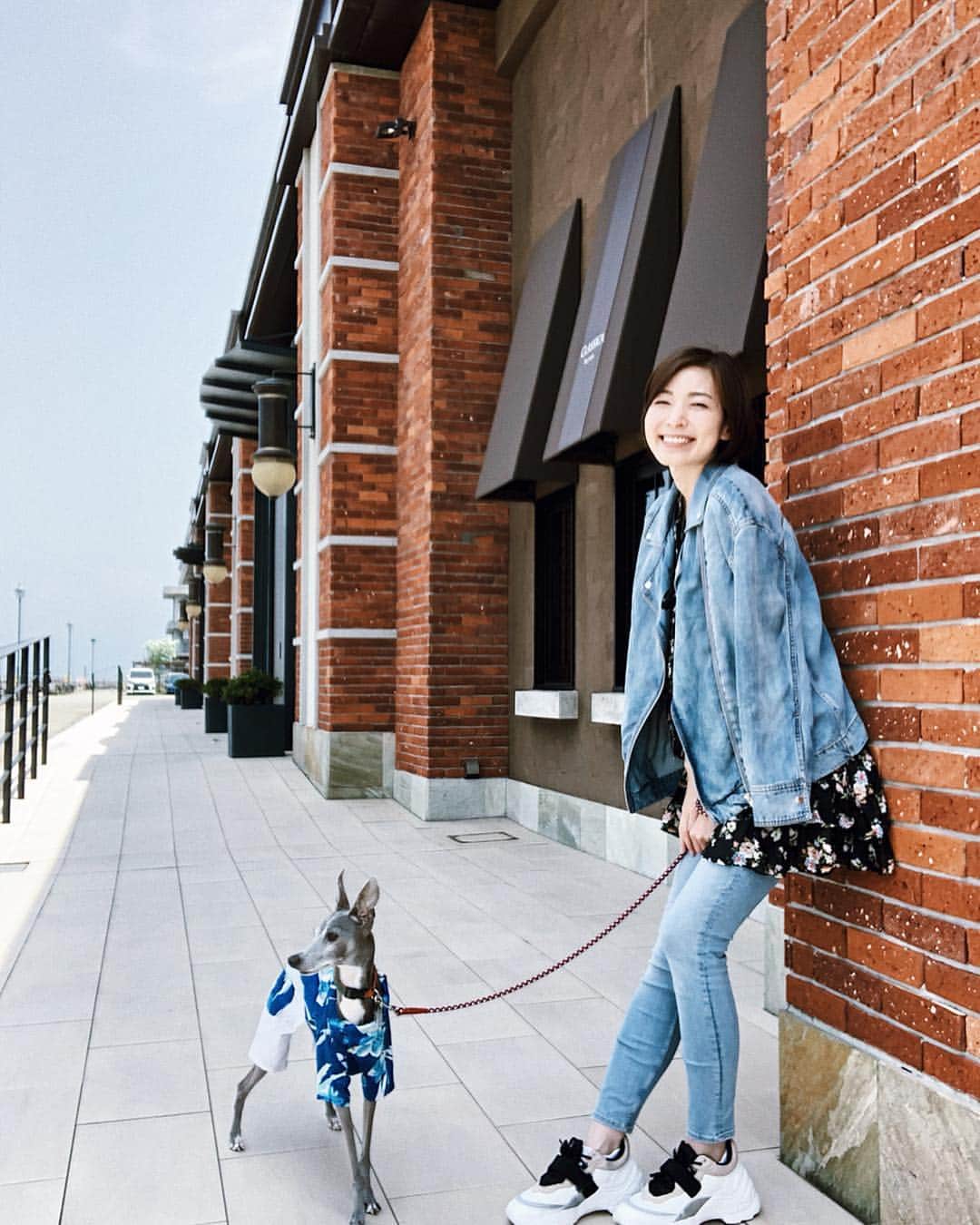 のインスタグラム：「* ******** 🌊BLUE🌊 When I look at the red brick buildings and the seaside, I remember my hometown Yokohama.⚓︎🐕💕🙆‍♀️ * 赤レンガ造りの建物の前で海を眺めていると、故郷横浜に帰ってきたような気持ちになります。 やはり、育った街と似た景色が見られる場所は、心が安らぎますね。 そして、海沿いだとより一層ハウルのアロハシャツが映えます❤️👏 ******** #イタグレ#イタリアングレーハウンド#italiangreyhound#dogstagram#イタグレとの暮らし#iggy#iggygram #iggylove#iggylife#いぬのいる暮らし#犬のいる暮らし#いぬバカ部#イタグレ服#iggysoftheworld #iggysofinstagram #dogsofig #dogsofinstagram #プチプラコーデ #犬好きな人と繋がりたい#オシャレさんと繋がりたい#犬服ハンドメイド#リンクコーデ#大分県#oita#おんせん県#おんせん県おおいた#oita_pride #oitagram#oitaprefecture」