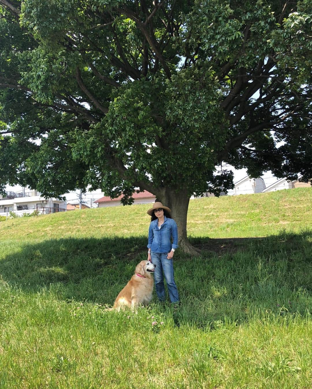 高橋ひとみのインスタグラム