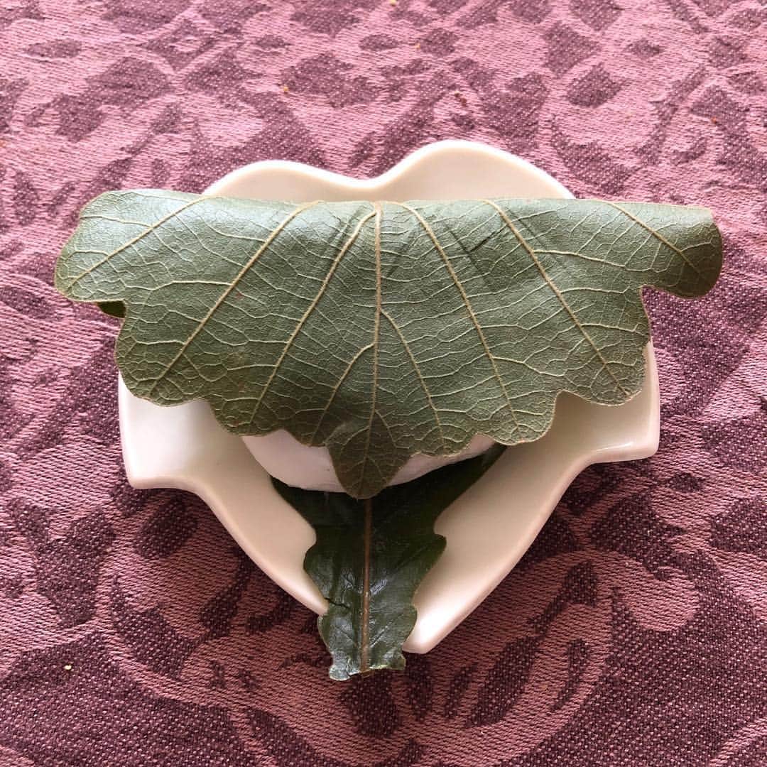 宙也さんのインスタグラム写真 - (宙也Instagram)「柏餅。」5月5日 14時37分 - chuya_aquarius