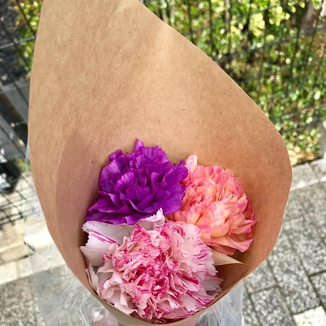金戸覚さんのインスタグラム写真 - (金戸覚Instagram)「快晴、花三輪。」5月5日 15時07分 - kanetosatoru
