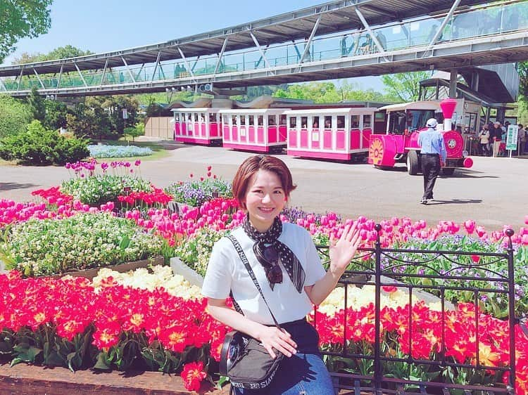 桜帆ゆかりさんのインスタグラム写真 - (桜帆ゆかりInstagram)「GWはとっとり花回廊へ🥰 お天気にも恵まれてお弁当🍱持ち込みでピクニック🌞 . . チューリップ、時期もバッチリカラフルで可愛い🤩🌈🌷✨ . . . 帰りは  #三朝館  @misasakan  で薔薇風呂入ってお花三昧🥰❤️🌹の一日✨✨ . . . . . #とっとり花回廊  #tulips  #tottori  #flowers  #インスタ映えってやつ  #キューケンホフ公園行きたい  #三朝館  #薔薇風呂  #最高にいい香りするやつ」5月5日 15時38分 - chahoroo93