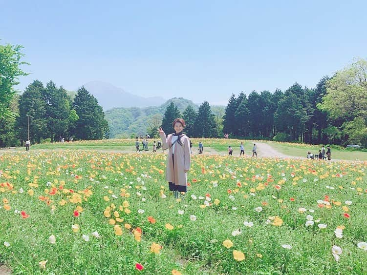 桜帆ゆかりさんのインスタグラム写真 - (桜帆ゆかりInstagram)「GWはとっとり花回廊へ🥰 お天気にも恵まれてお弁当🍱持ち込みでピクニック🌞 . . チューリップ、時期もバッチリカラフルで可愛い🤩🌈🌷✨ . . . 帰りは  #三朝館  @misasakan  で薔薇風呂入ってお花三昧🥰❤️🌹の一日✨✨ . . . . . #とっとり花回廊  #tulips  #tottori  #flowers  #インスタ映えってやつ  #キューケンホフ公園行きたい  #三朝館  #薔薇風呂  #最高にいい香りするやつ」5月5日 15時38分 - chahoroo93