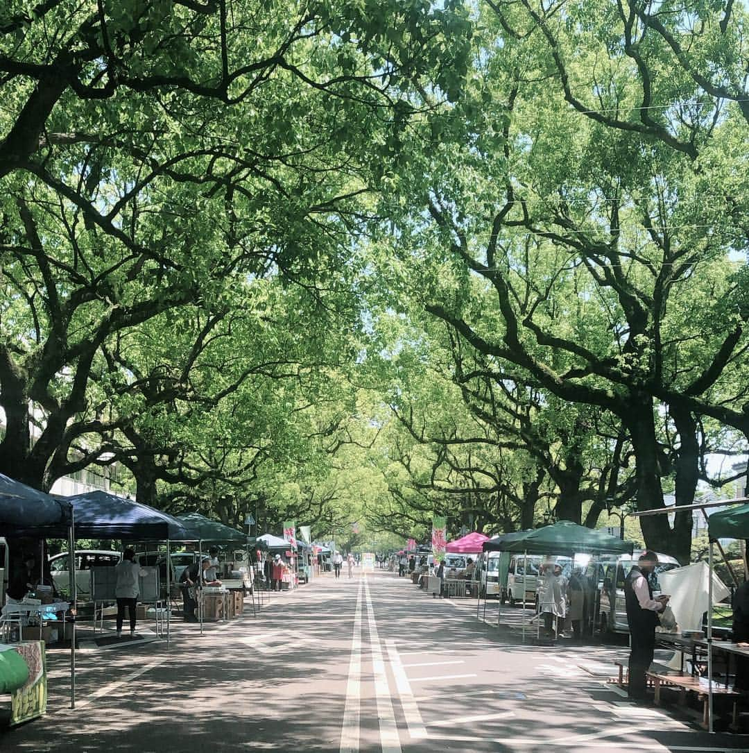 中西希さんのインスタグラム写真 - (中西希Instagram)「.﻿ .﻿ ﻿ 気持ちいい🌱  #宮崎旅 #GW #帰省 ﻿ #宮崎県庁前﻿ ﻿ .﻿」5月5日 16時18分 - nakanishi.nozomi