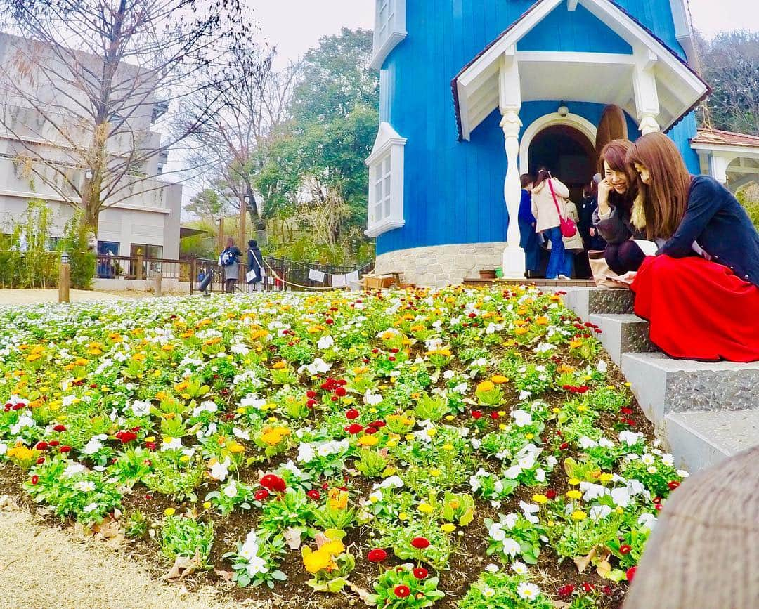 織田千穂さんのインスタグラム写真 - (織田千穂Instagram)「GWが終わっちゃう～(꒪⌓꒪)‼️ 満喫されてますか～⁉️ 今日含めてあと2日💜 みなさんどうぞご堪能下さいね💕 * 混雑落ち着いた頃に またムーミンバレーパーク行きたいな(* ॑꒳ ॑* )⋆* *⑅୨୧┈┈┈┈┈┈┈┈┈┈┈┈┈┈┈┈┈୨୧⑅*｡ #l4l #bestjapanpics #photo_shorttrip #東洋大学出身 #ムーミン #ムーミンバレーパーク #ムーミン谷 #moomin #moominvalleypark #moominvalley #北欧 #フィンランド #🇫🇮#女子旅 #flower #お花 #花のある暮らし #花のある生活 #ザ花部 #イマソラ #ムーミン屋敷 #メッツァビレッジ #metsavillage #gopro #ゴープロ #ゴープロのある生活 #goprojp #hero4 #gopro_epic #trip *⑅︎୨୧┈︎┈︎┈︎┈︎┈┈┈┈┈┈︎┈︎┈┈︎┈︎┈︎┈︎┈︎୨୧⑅︎*」5月5日 16時24分 - chihoda