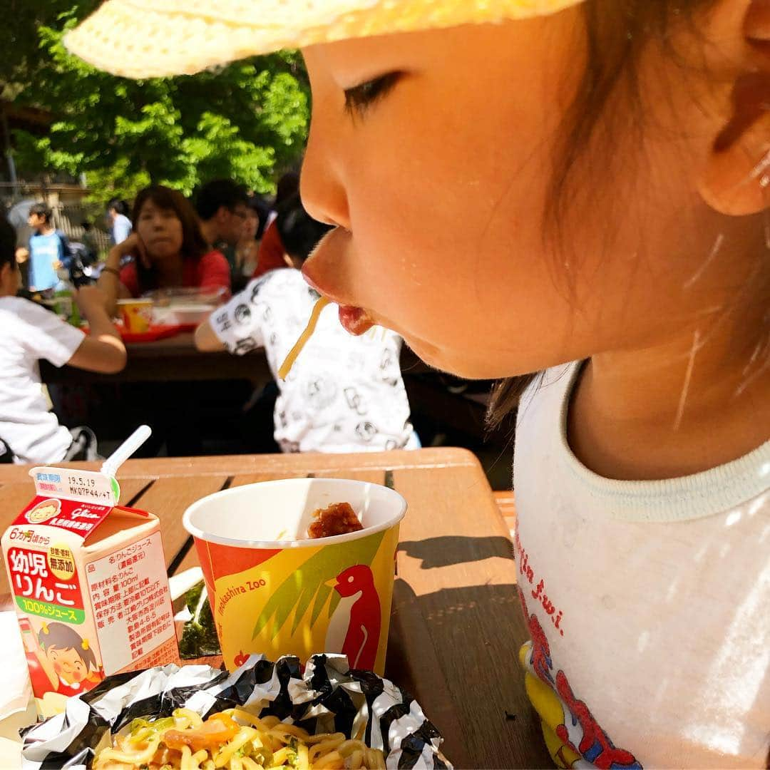 新井美穂さんのインスタグラム写真 - (新井美穂Instagram)「今日は#多摩動物公園 へ。#お揃い帽子 で久しぶりの#母娘ツーショット の機会だったのに 娘はライオンさんを被ると言い張り、あんた誰やねん？みたいな人との微妙なツーショット写真😭（笑）紛れもなく#愛娘 だけど😅  #子供の日 なのでおやつは#柏餅 と折り紙で作った鯉のぼりにチョコ入れてあげて🍫 娘は大喜びで、鯉のぼりの歌を歌いながら#初めての柏餅 ペロリと２つ食べましたー。 昨夜体重計のせたら12.5キロ🤭この連休で1キロも増えてるやーん（笑） #娘2歳11ヵ月#連休太り#よく食べる娘#食欲旺盛#母娘休日#休日おでかけ」5月5日 16時32分 - arai_miho