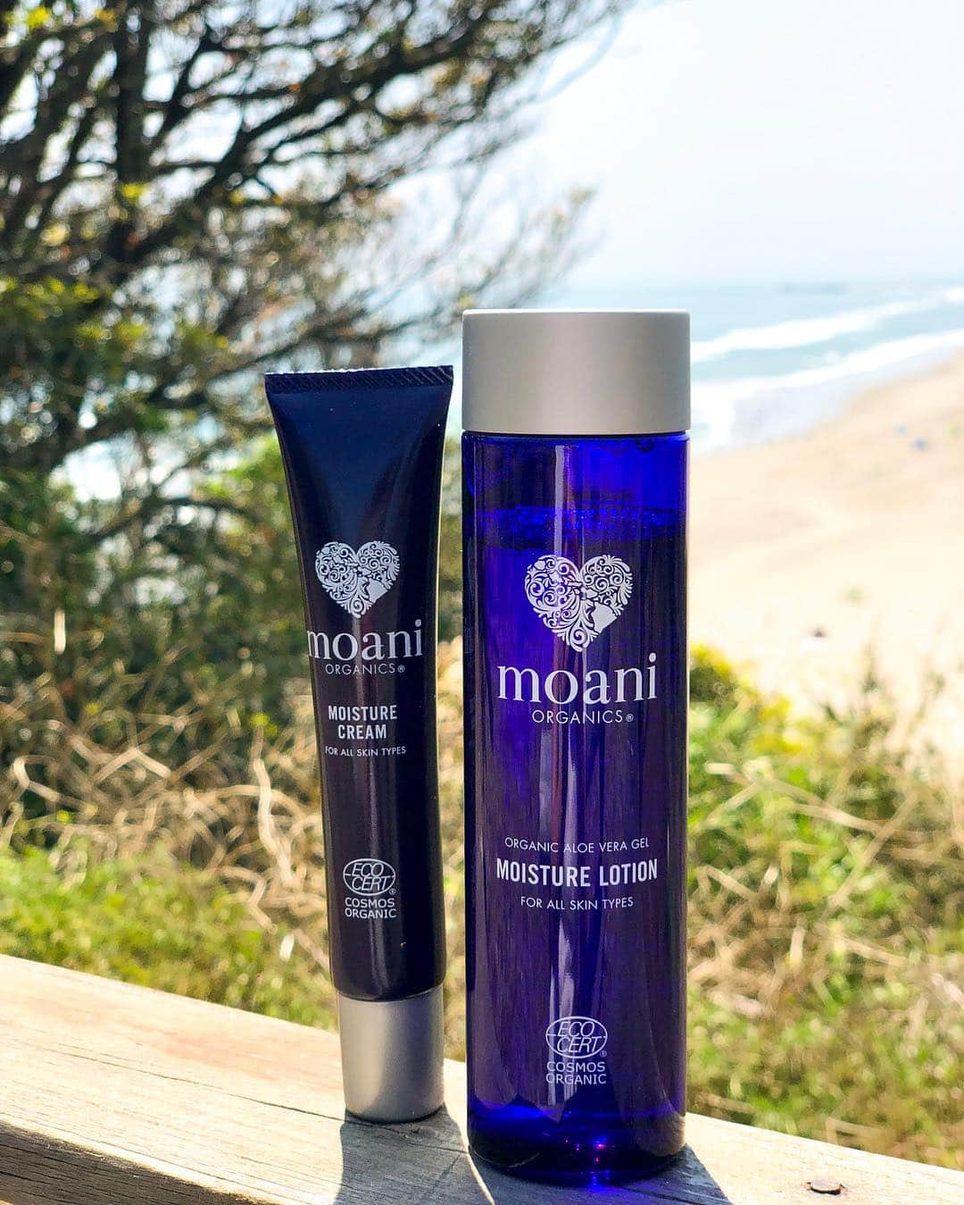 金子藍さんのインスタグラム写真 - (金子藍Instagram)「海上がりの保湿に この化粧水と美容クリーム使っています🙆‍♀️ . @moani_organics のシリーズの大好きなところは匂い❤️ 基礎化粧品もそうだけど、ヘアオイルもすごく好き❤️ . この2点でお肌しっとり♬ . 海上がり日焼け止め落とさず、またその上から日焼け止め塗って入る女の子いますが、一回オフして日焼け止め塗り直してから入りましょう♬ . #moaniorganics #基礎化粧品 ##化粧水 #美容クリーム #保湿 #保湿ケア #保湿化粧水 #日焼け #オーガニック #エイジングケア」5月5日 16時32分 - aikaneko_surf
