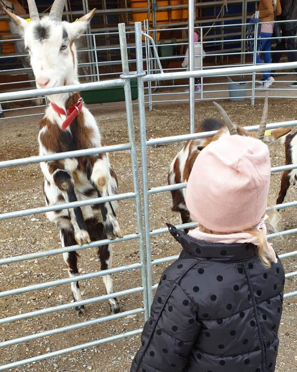 ルーカス・ポドルスキさんのインスタグラム写真 - (ルーカス・ポドルスキInstagram)「Bleib cool Hennes ! Bald wieder 1.liga 😃🐐💯 #mygirl #effzeh #love」5月5日 16時49分 - lukaspodolski