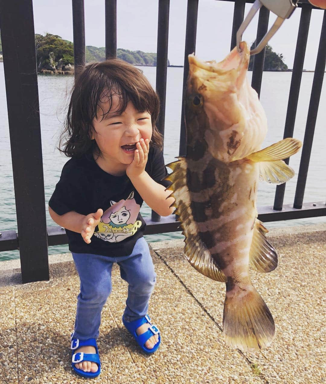 つるの剛士さんのインスタグラム写真 - (つるの剛士Instagram)「アラッ！まあ！  #海浜公園で竿出したらまさかの高級魚釣れた #クエ （アラ ） #ハネエビ #ハネエビヘッド3g  #隣で釣りしていた偶然藤沢から来られていたご家族にあげた  #しゃっちょ  #釣るの剛士 #iriefishingclub」5月5日 16時58分 - takeshi__tsuruno