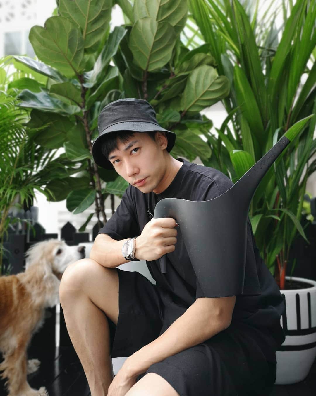 デスモンド・タンのインスタグラム：「I AM GARDEN MAN (钢-铁-人, you got the pun? 😑) I love you 3 thousand island! And Hoshi says "I woof you 3000"  I'm loving my latest DIY project for my home garden. Handpainted pots, newly painted decking and super long selection process for my plants. What do you think? One more pot is still empty, what plant should I get?  P.S. I think I need a therapist to help me get over this Avengers withdrawal syndrome.  #thenextavenger #hoshitan #englishcockerspaniel」