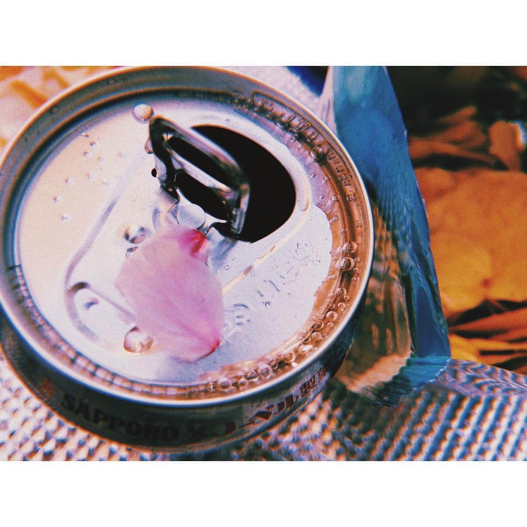 中塚智実のインスタグラム：「ひらり、はらり、ほろり、🌸 . #camera #cameragirl #cameraapp  #カメラ #カメラ女子 #カメラアプリ  #huji #フィルム風 #桜 #さくら #お花見」