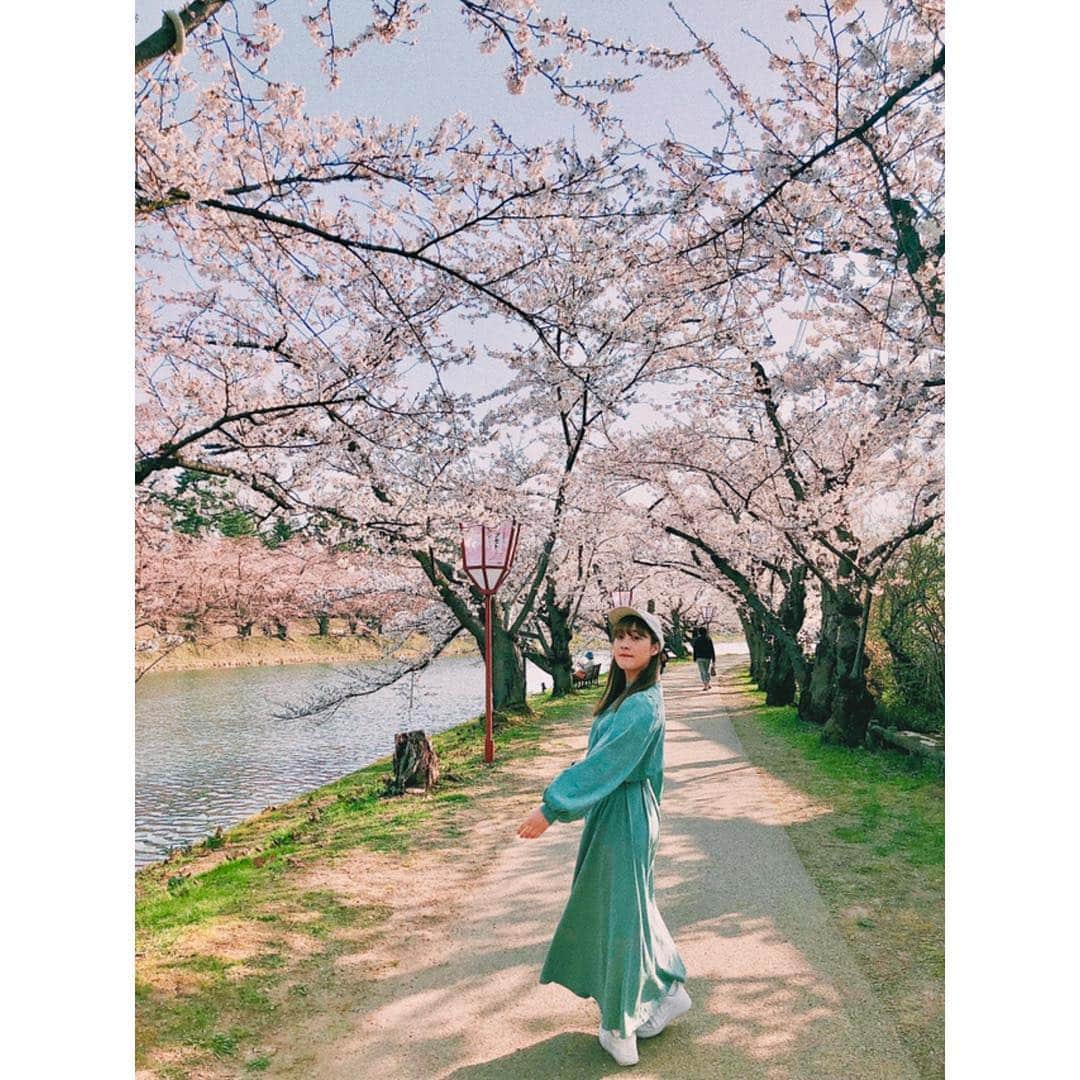 中塚智実のインスタグラム：「ふらり、ふりかえり . #camera #cameragirl #cameraapp  #カメラ #カメラ女子 #カメラアプリ  #huji #フィルム風  #桜 #さくら #桜並木 #弘前さくらまつり」
