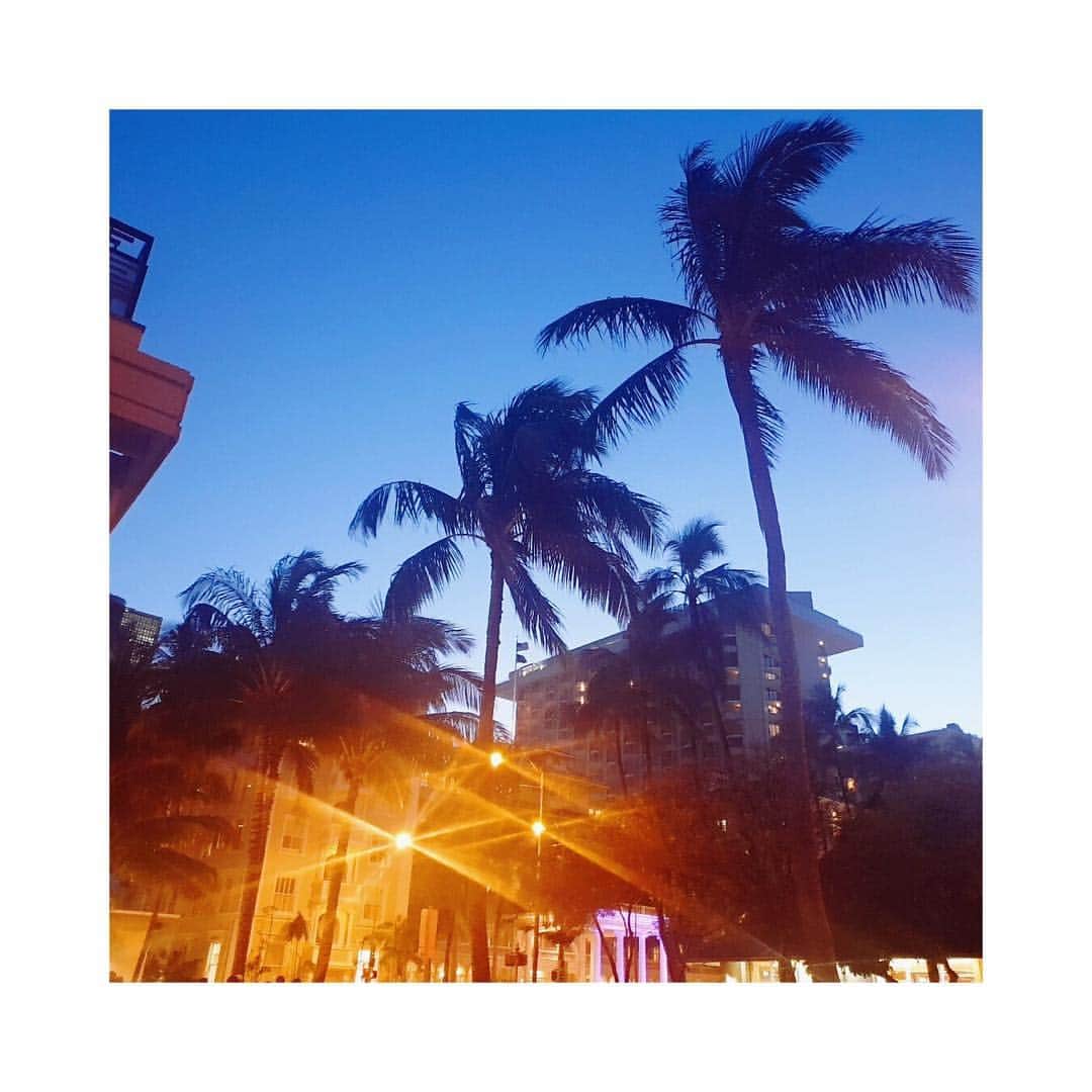 チョン・ソミンのインスタグラム：「🌴🌫」