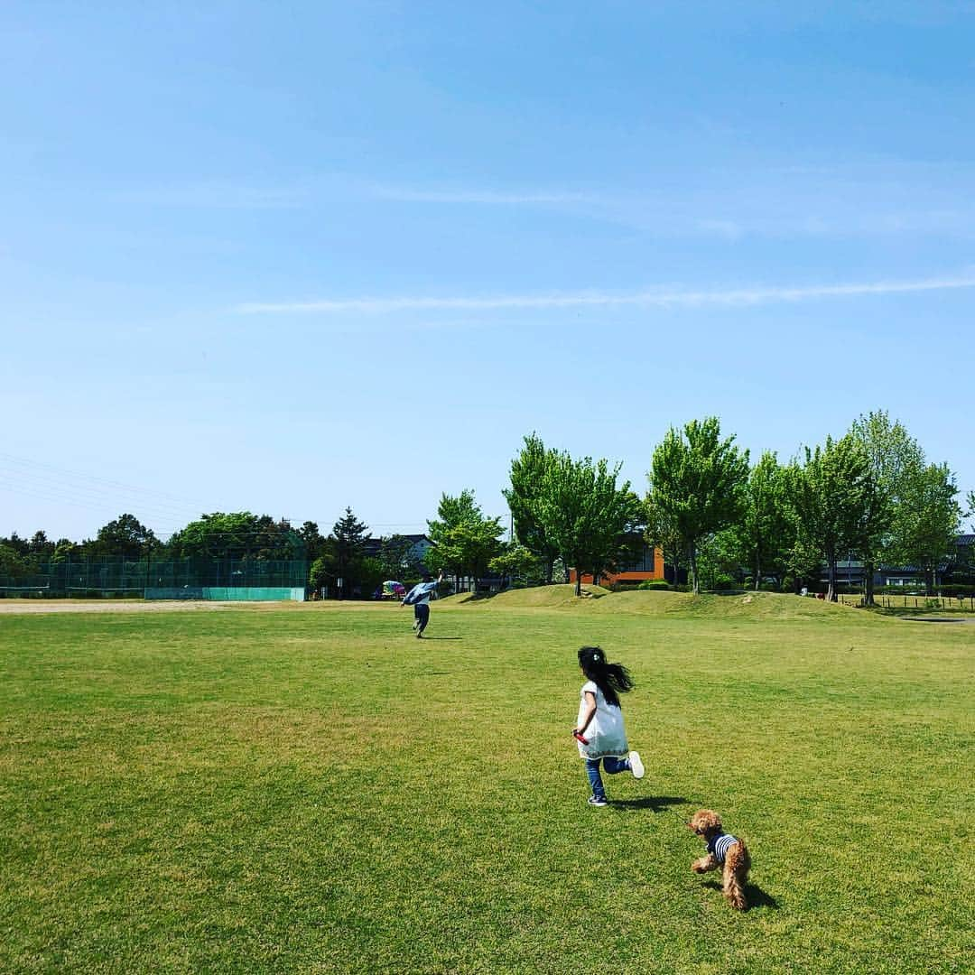 吹田早哉佳さんのインスタグラム写真 - (吹田早哉佳Instagram)「天気良すぎて公園で凧揚げ╰(*´︶`*)╯ 2枚目は、凧揚げを楽しむパパと 追いかける娘とアモ🐶  #凧揚げ#たこあげ#公園遊び  暑くて娘はノースリーブ🌞」5月5日 17時36分 - sayaka.0623