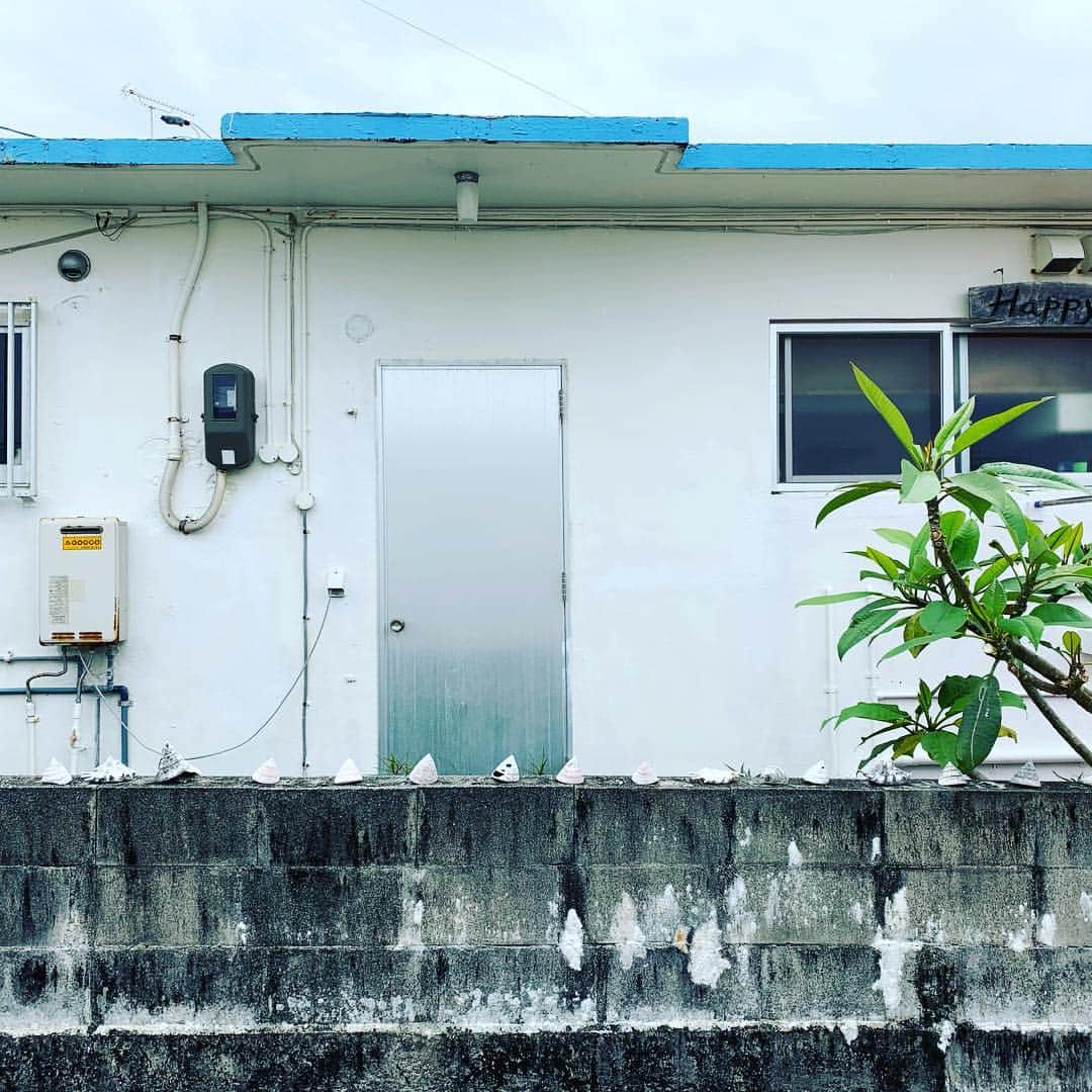 YOICHIのインスタグラム：「#南の島 #貝殻 #並べてるだけでいい感じ」
