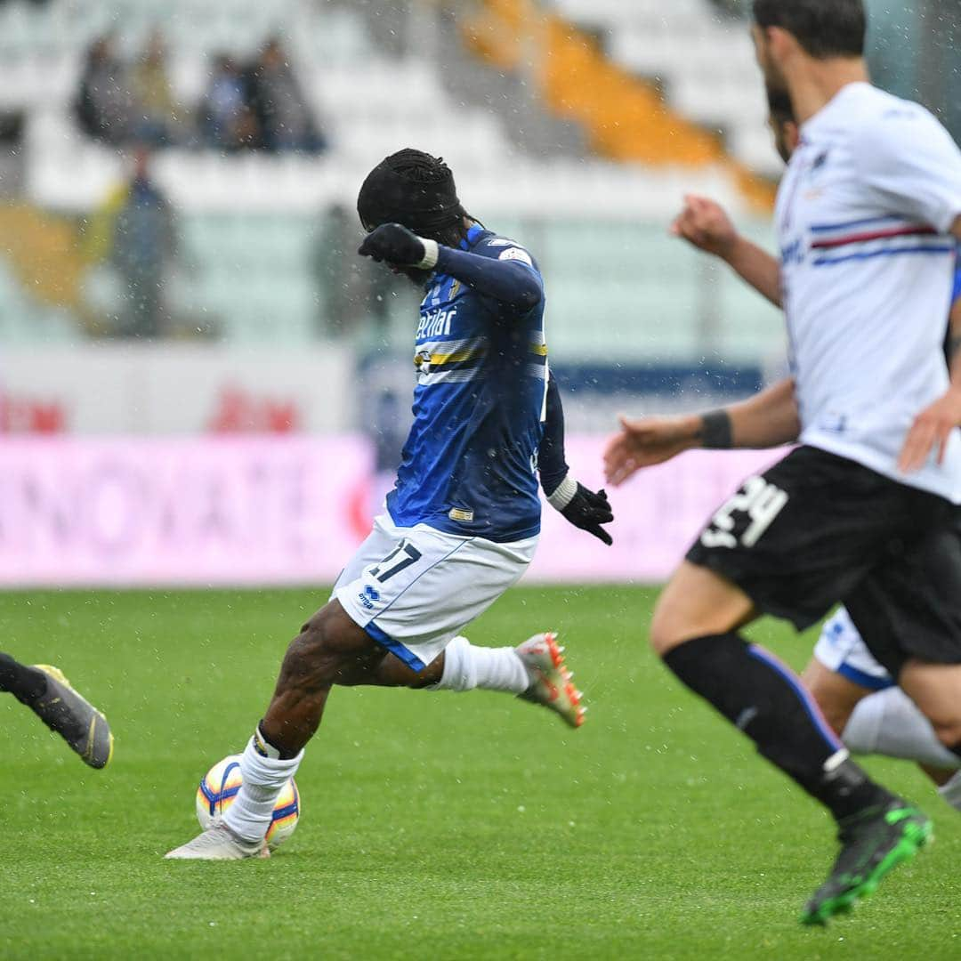 ジェルヴィーニョさんのインスタグラム写真 - (ジェルヴィーニョInstagram)「🎯 Parma 3-3 Sampdoria  #ForzaParma •••••••••••••••••••••••••••••••••••••••••••••••• #gameday #stepbystep #parma #videooftheday #team225」5月6日 3時31分 - gervinhofficial