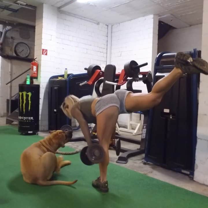 Michelle Lewinのインスタグラム：「Sunday Funday!💃🏼 -Warm-up: "Tug-of-war" with dog / bull combo💁🏼‍♀️ -Workout: Lunges with "one straight leg dead lift" combo... Feel the burn - enjoy the glute growth 🍑🤙🏻 Shorts & top: @one0one_101 🎸🤘🏻@smashintopiecesofficial - Boomerang」