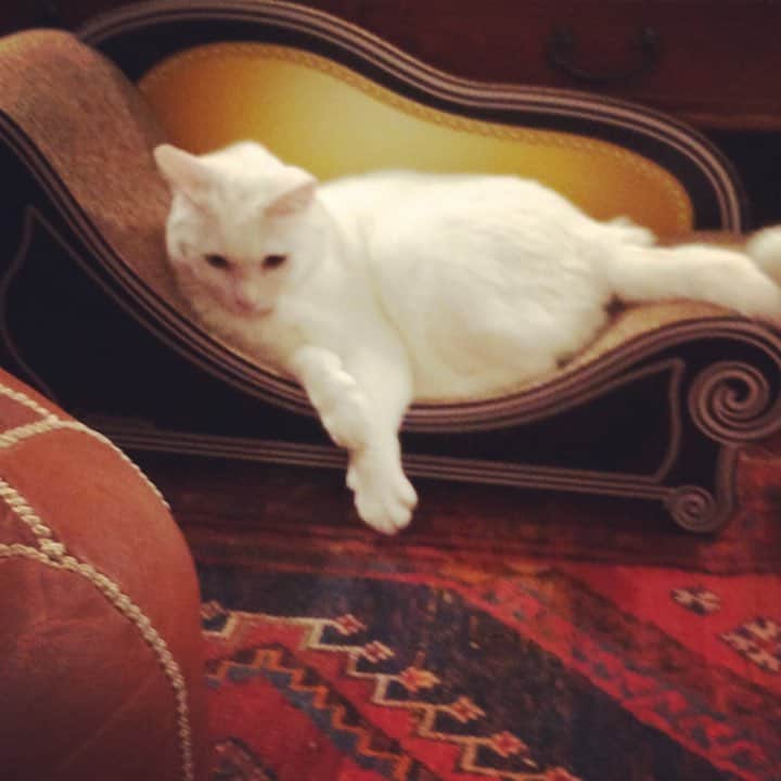 岡田屋鉄蔵のインスタグラム：「下手くそ過ぎて愛しい(*´-`)」