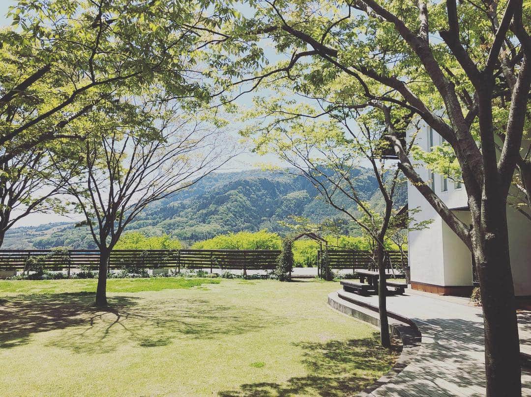 斉藤ひかりのグルメインスタ