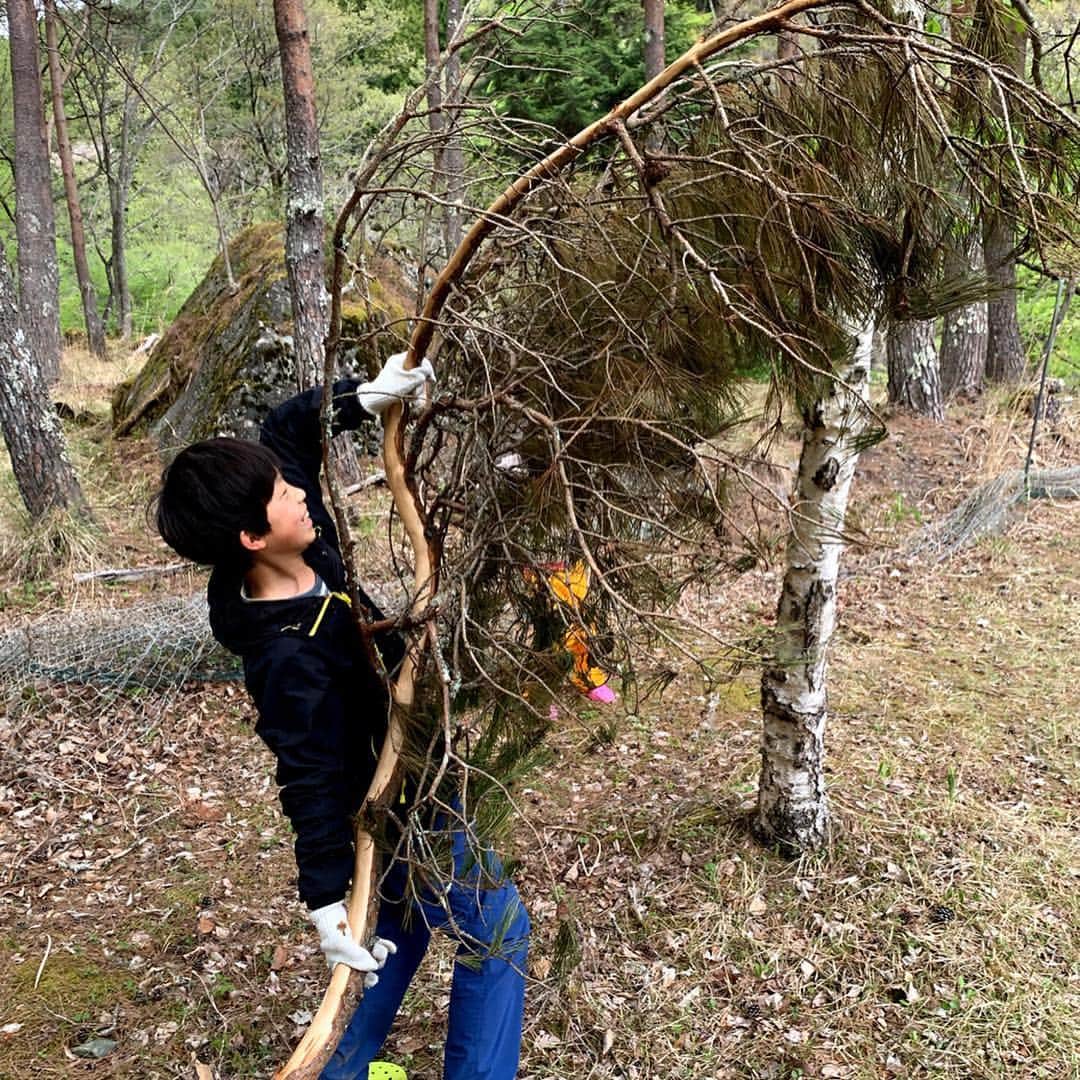 AYUMIさんのインスタグラム写真 - (AYUMIInstagram)「キャンプで焚き火をするのに 松ぼっくりや、枝ひろいを。 ずいぶんと大きな松の木をひろってきた息子（笑 焚き火台に入る大きさに力づくで木を折ったり 焚き火をおこしたり、自然遊び🌿 . . #AYUMIアウトドア #家族時間 #ファミリーキャンプ #家族キャンプ #湯治キャンプ #キャンプ #camp #outdoor #アウトドア #焚き火 #自然 #GW」5月5日 20時12分 - ayumiayunco